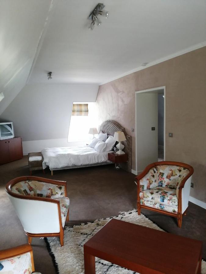 Chateau De La Faye Menetreol-sur-Sauldre Eksteriør billede