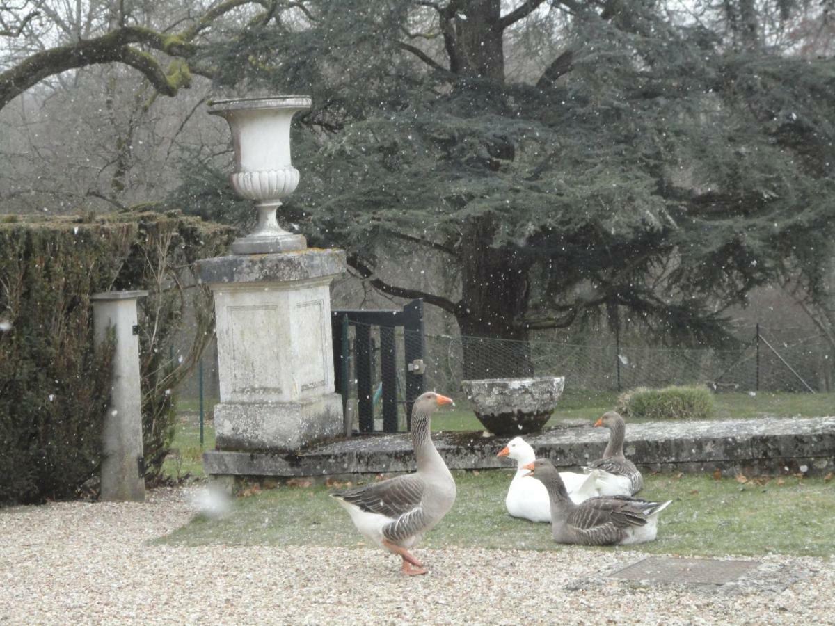 Chateau De La Faye Menetreol-sur-Sauldre Eksteriør billede