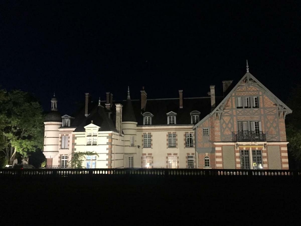 Chateau De La Faye Menetreol-sur-Sauldre Eksteriør billede