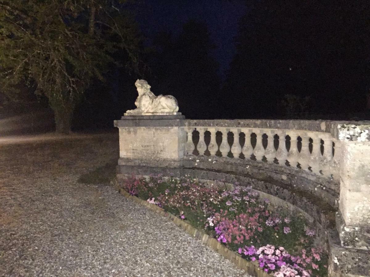 Chateau De La Faye Menetreol-sur-Sauldre Eksteriør billede